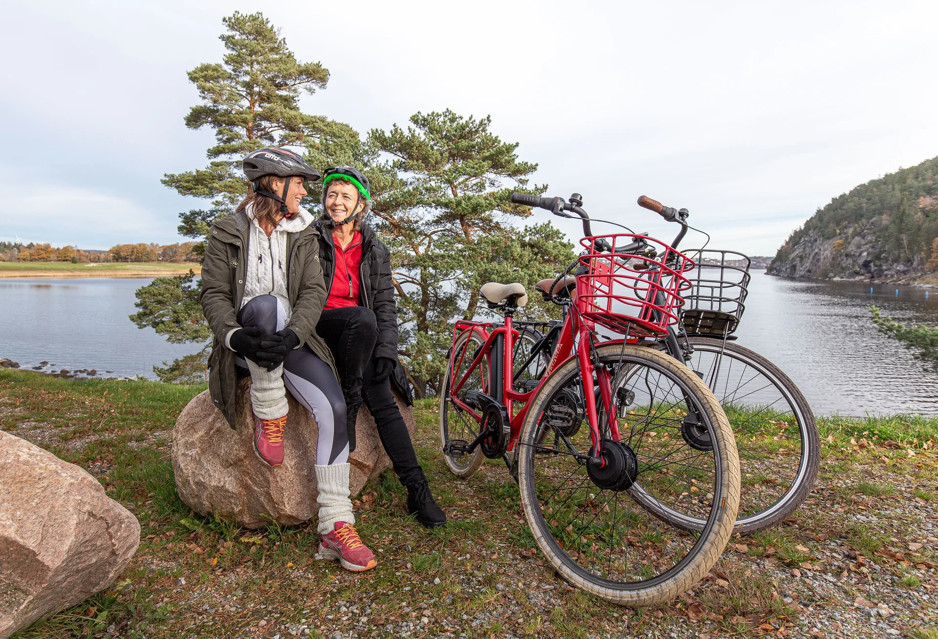 Elektrische fiets